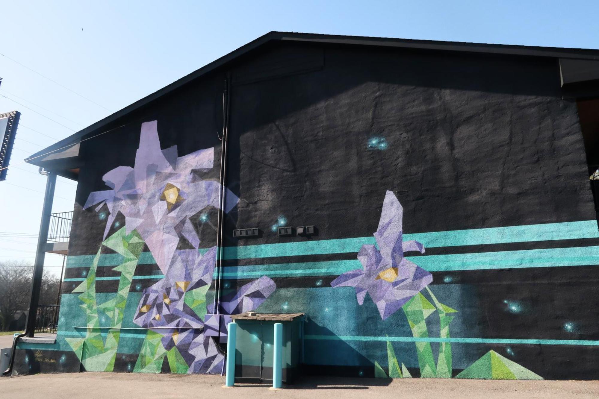 The Iris Motel Nashville Exterior photo